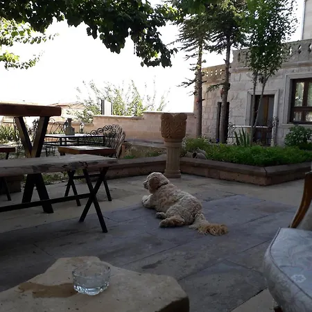 Mozaik Stone Bed & Breakfast