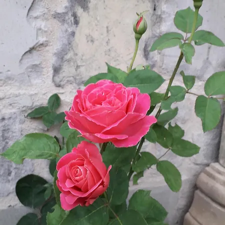 Bed & Breakfast Mozaik Stone