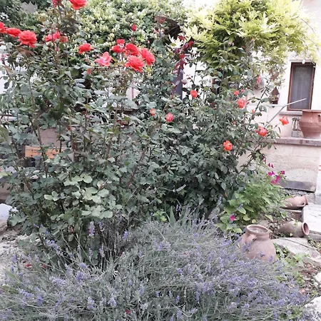 Mozaik Stone Bed & Breakfast
