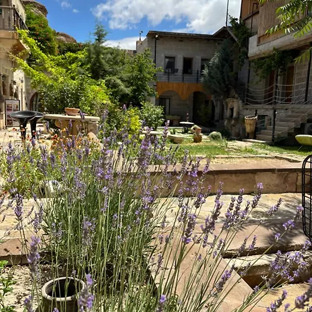 Mozaik Stone Bed and breakfast 3*