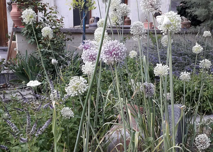 Mozaik Stone Frühstückspension Avanos